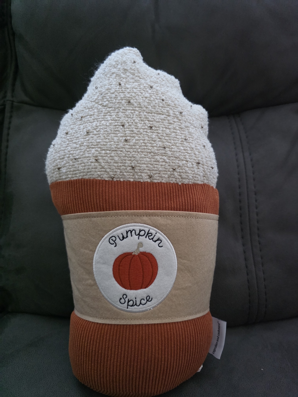 Pumpkin Spice Plush Decor Pillow - Cream & Orange